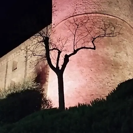 Terramare Montiano (Tuscany)