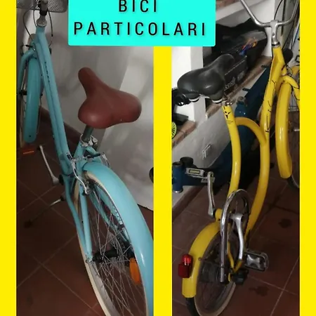 Terramare Montiano (Tuscany)