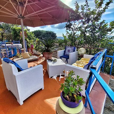 Terramare 3*