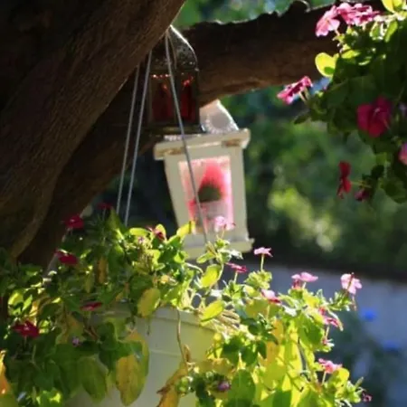 Terramare Bed & Breakfast 3*