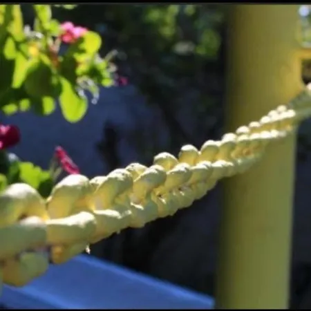 Terramare Montiano (Tuscany)