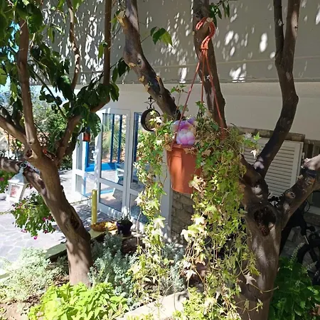 Bed & Breakfast Terramare