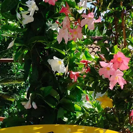 Terramare 3* Montiano (Tuscany)